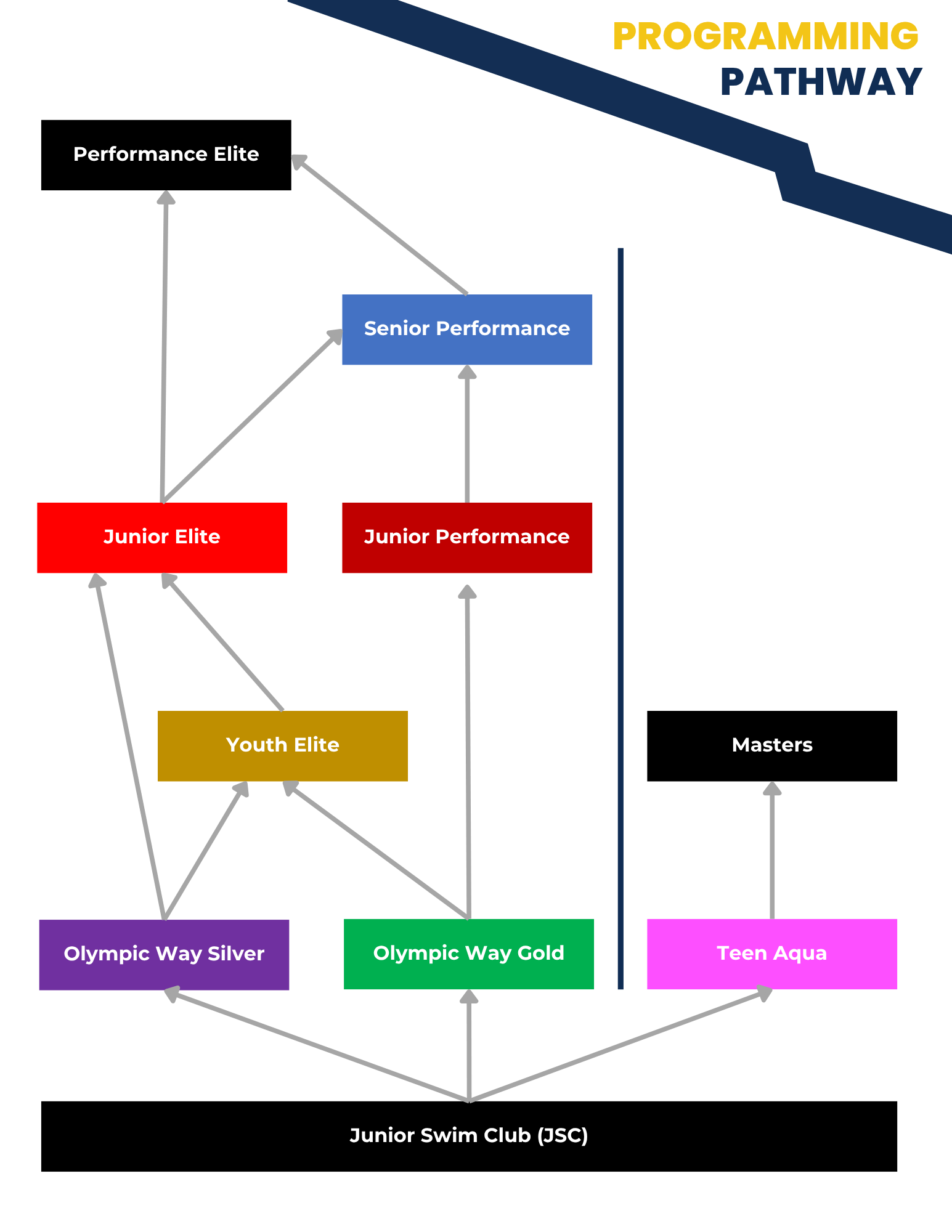 Programming Pathway Visual